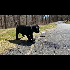 Meet your Posher, Eric